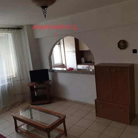Apartament Cu 2 Camere,Ultracentral In Арад Екстер'єр фото