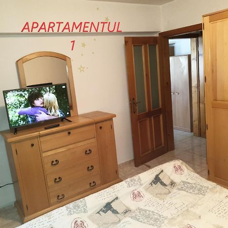 Apartament Cu 2 Camere,Ultracentral In Арад Екстер'єр фото