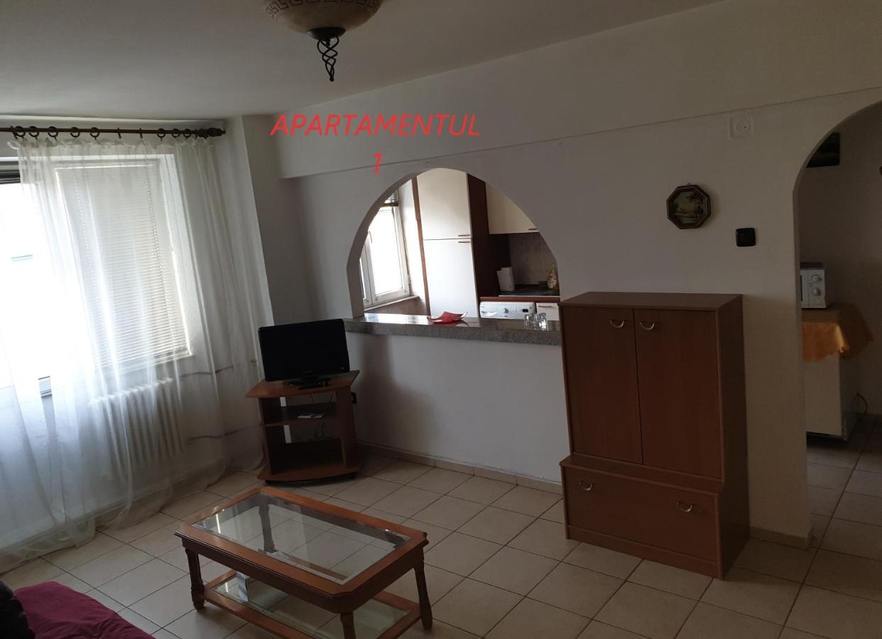 Apartament Cu 2 Camere,Ultracentral In Арад Екстер'єр фото