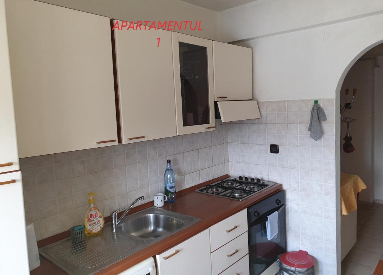 Apartament Cu 2 Camere,Ultracentral In Арад Екстер'єр фото
