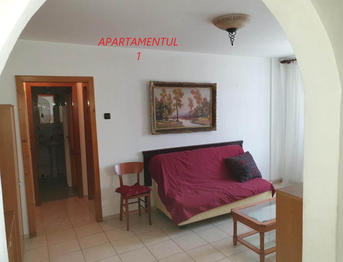 Apartament Cu 2 Camere,Ultracentral In Арад Екстер'єр фото