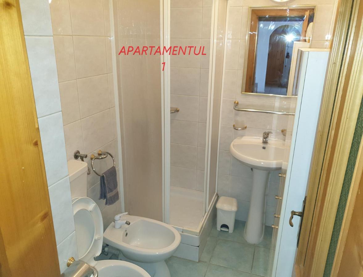 Apartament Cu 2 Camere,Ultracentral In Арад Екстер'єр фото