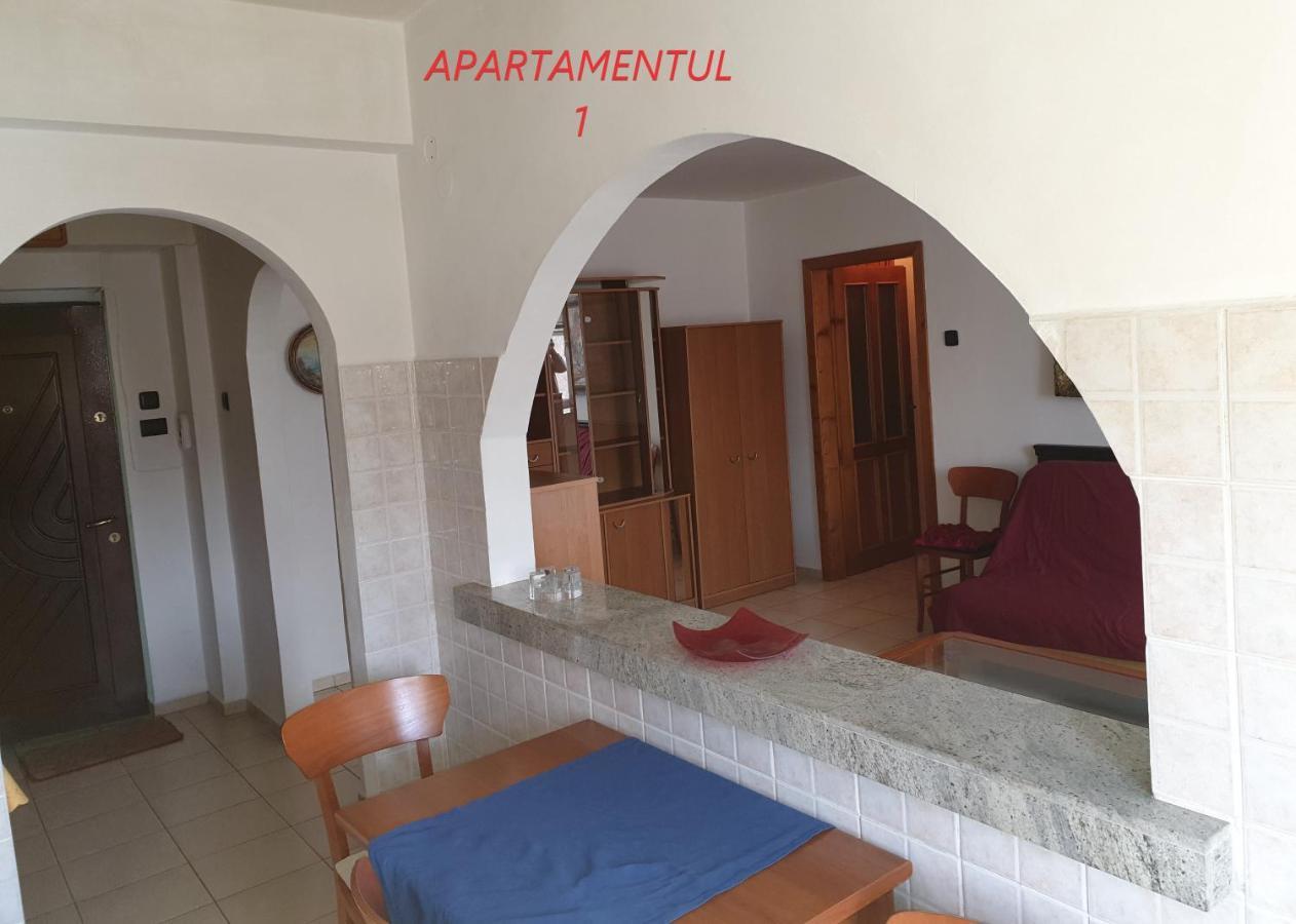 Apartament Cu 2 Camere,Ultracentral In Арад Екстер'єр фото