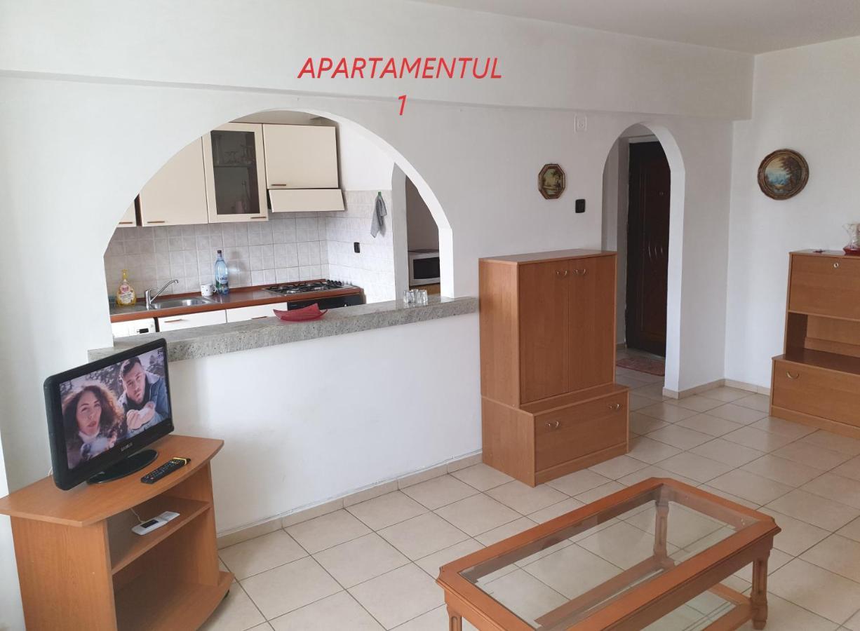 Apartament Cu 2 Camere,Ultracentral In Арад Екстер'єр фото