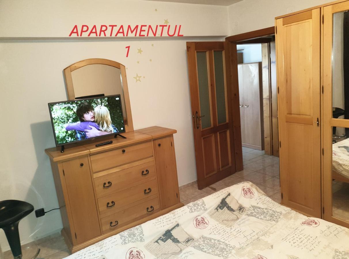 Apartament Cu 2 Camere,Ultracentral In Арад Екстер'єр фото