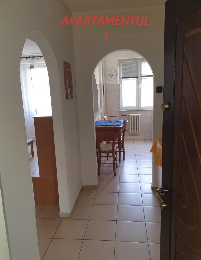 Apartament Cu 2 Camere,Ultracentral In Арад Екстер'єр фото